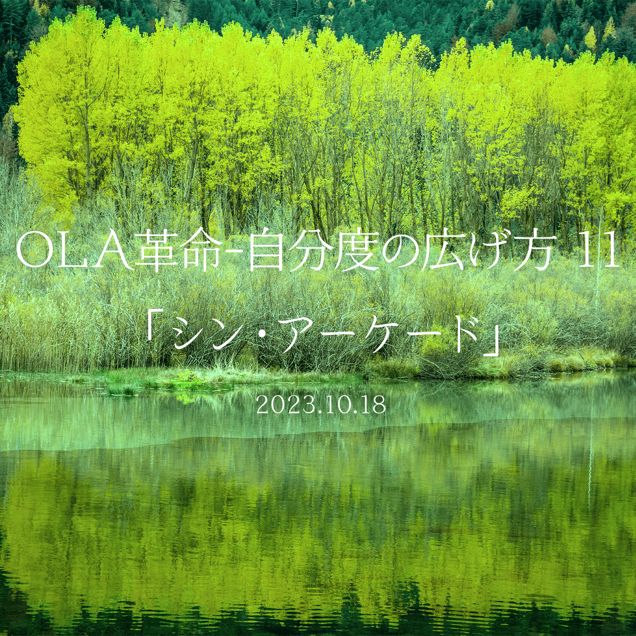 OLA革命-自分度の広げ方 11「シン・アーケード」