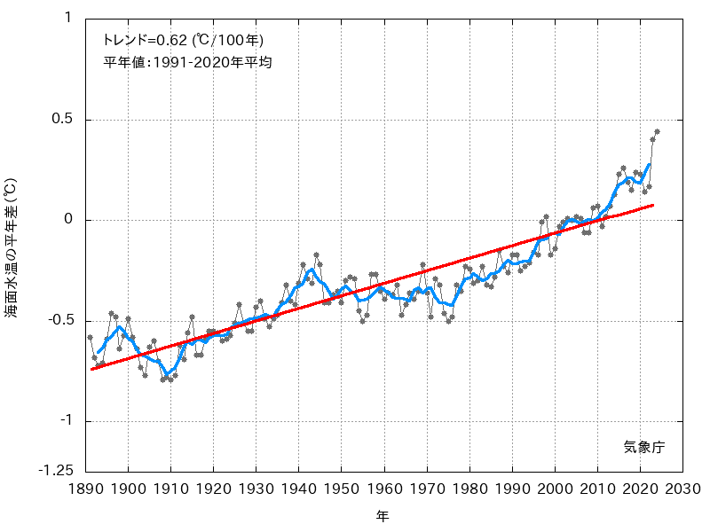 世界全体の年平均海面水温平年差の年々変動（1891～2024年）