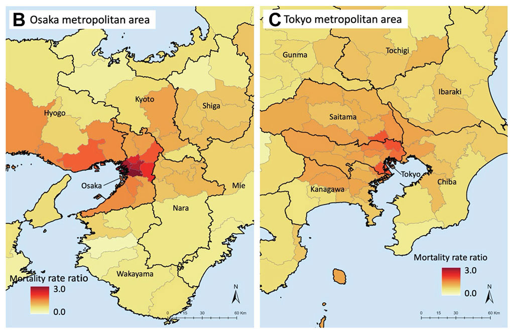 全国死亡リスクと大都市死亡リスク