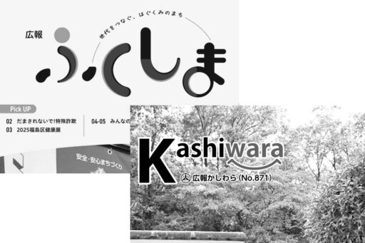 行政区と「進化する自治」と