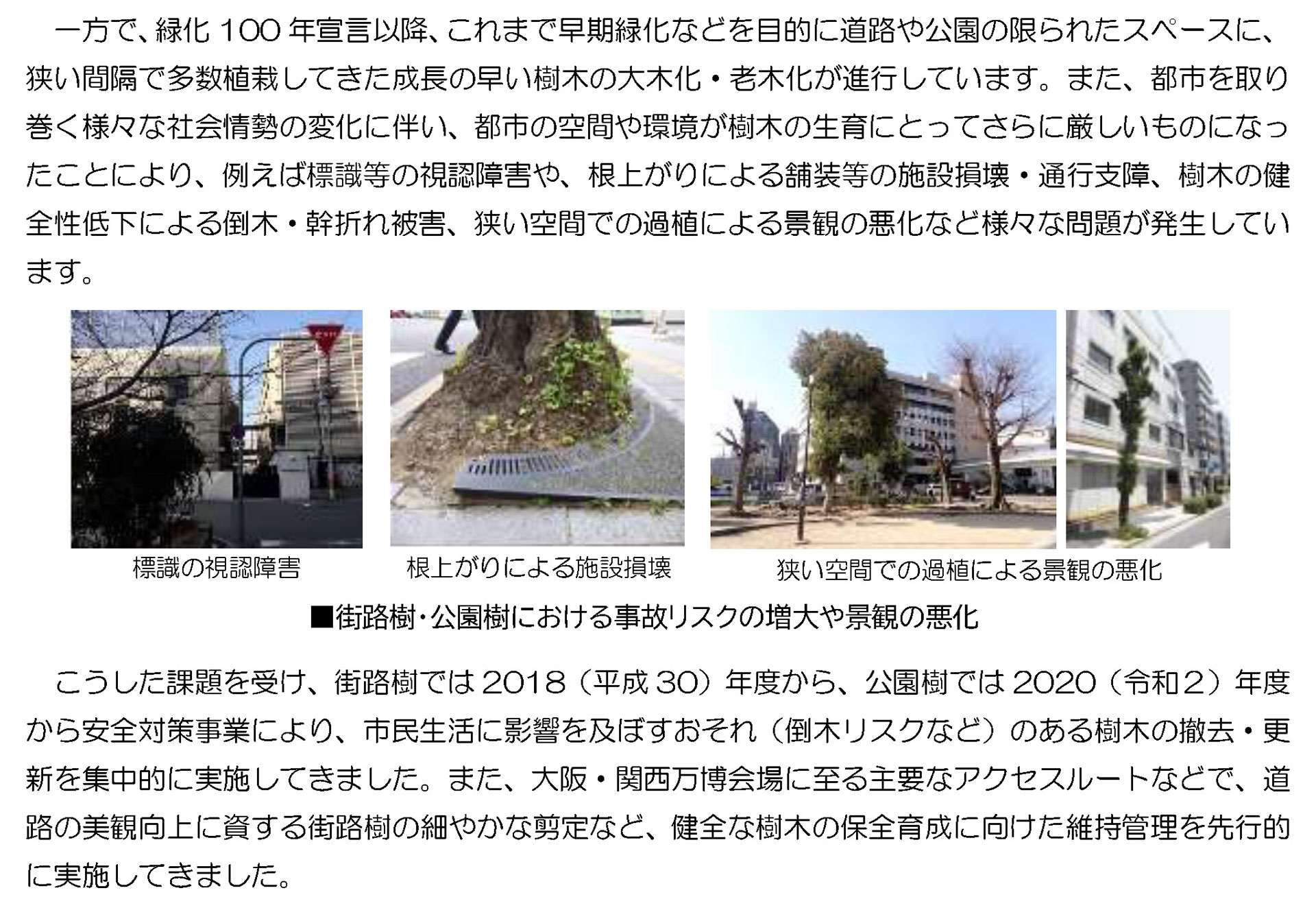 一方で、緑化100 年宣言以降、これまで早期緑化などを目的に道路や公園の限られたスペースに、
狭い間隔で多数植栽してきた成長の早い樹木の大木化・老木化が進行しています。また、都市を取り
巻く様々な社会情勢の変化に伴い、都市の空間や環境が樹木の生育にとってさらに厳しいものになっ
たことにより、例えば標識等の視認障害や、根上がりによる舗装等の施設損壊・通行支障、樹木の健
全性低下による倒木・幹折れ被害、狭い空間での過植による景観の悪化など様々な問題が発生してい
ます。
こうした課題を受け、街路樹では2018(平成30)年度から、公園樹では2020(令和2)年度
から安全対策事業により、市民生活に影響を及ぼすおそれ(倒木リスクなど)のある樹木の撤去・更
新を集中的に実施してきました。また、大阪・関西万博会場に至る主要なアクセスルートなどで、道
路の美観向上に資する街路樹の細やかな剪定など、健全な樹木の保全育成に向けた維持管理を先行的
に実施してきました。