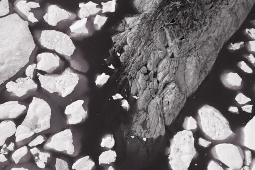 COP30と気候正義訴訟