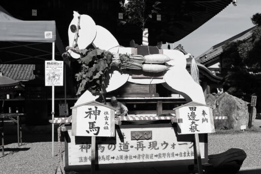 その昔、舎人が神馬を牽いて通った御馬道を訪ねる