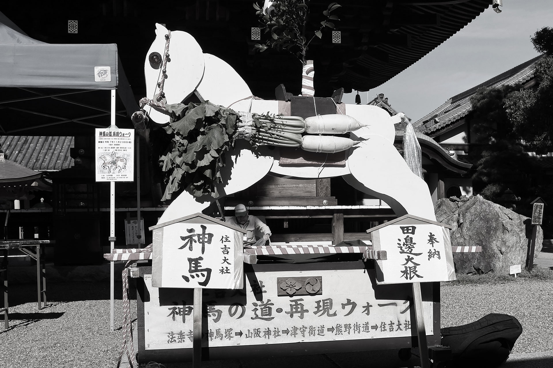 その昔、舎人が神馬を牽いて通った御馬道を訪ねる