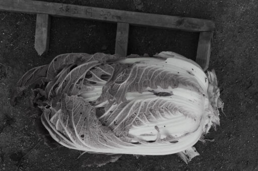 出来はいいのに、何とも複雑な気持ちの冬野菜