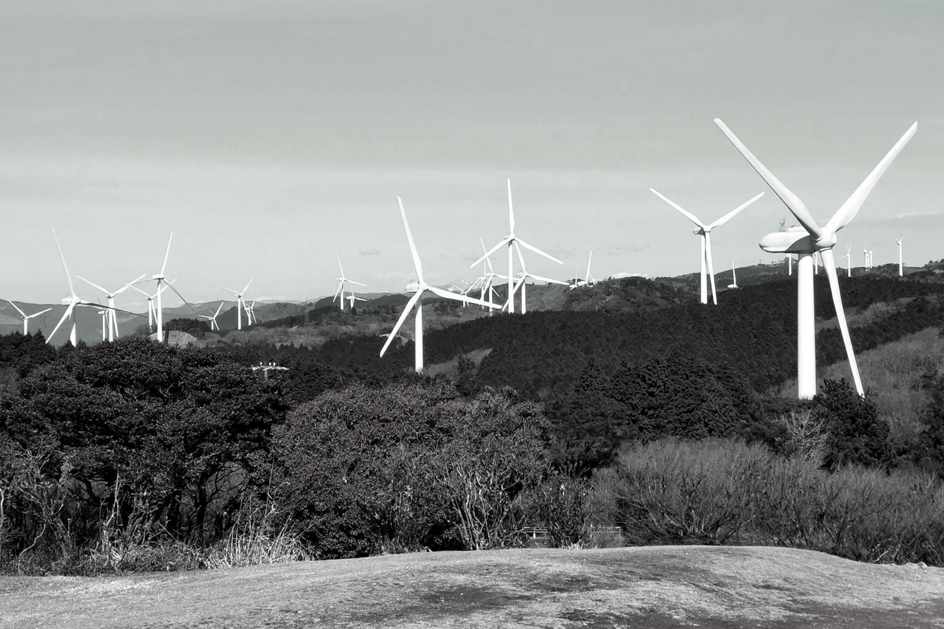 ウインドファームと地域の共生を再考する ―再エネは地域資源とどう共存するのか