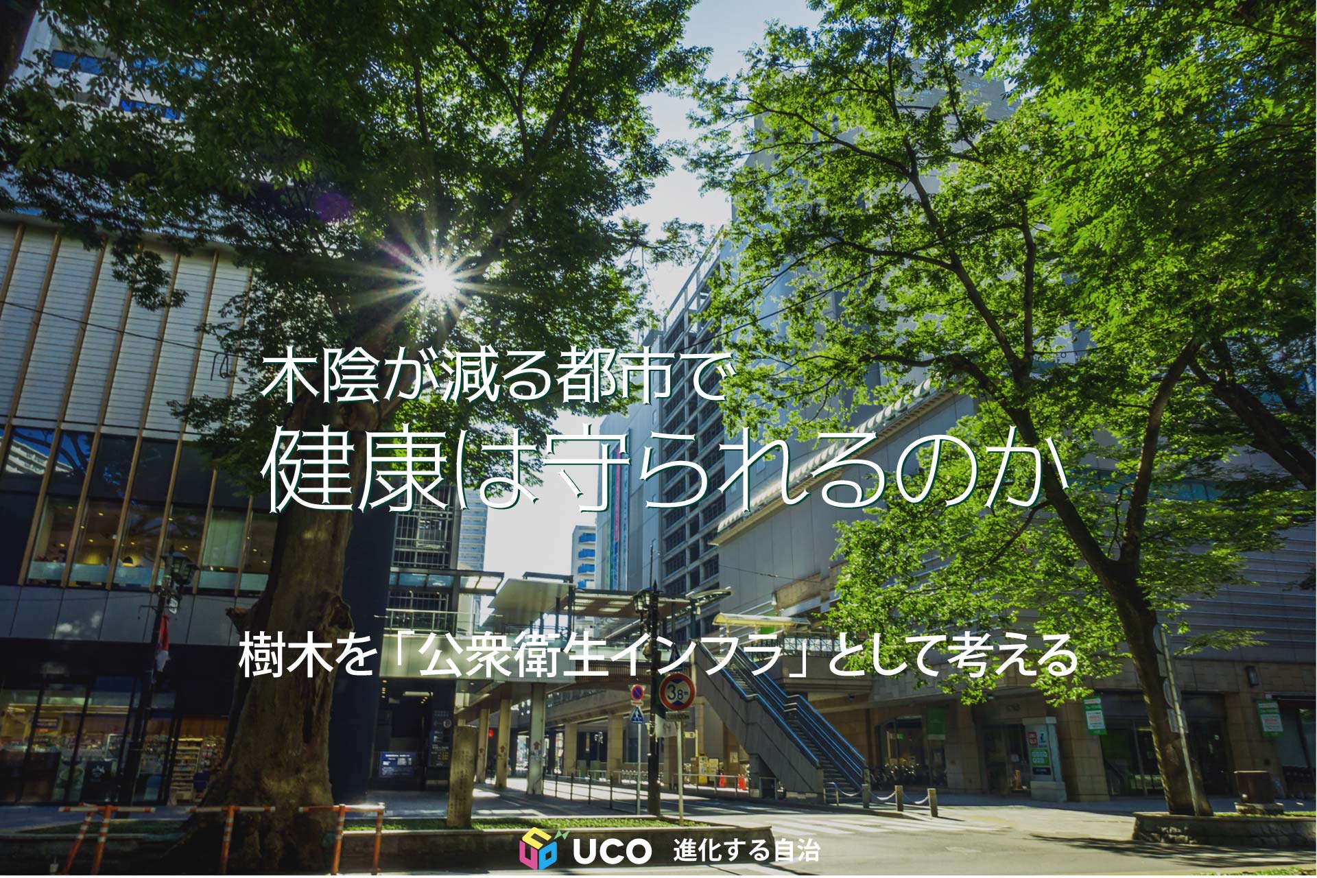 木陰は、単なる景観ではない。 シカゴの研究では、樹冠が増加した地域ほど死亡率が低く、失われた地域ほど高くなる関連が示された。 酷暑が命を脅かす時代、都市の樹木を「公衆衛生インフラ」として捉え直す必要がある。大阪市の緑化政策に足りない視点を考える。