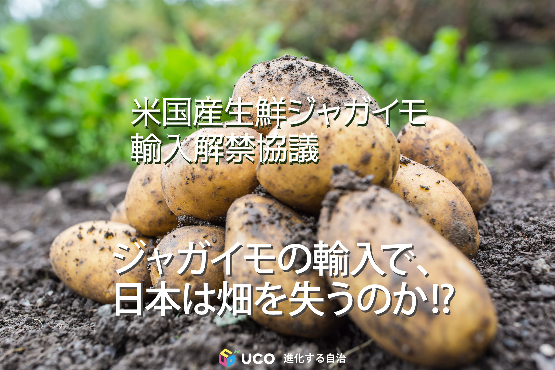 米国産生鮮ジャガイモ 輸入解禁協議 ジャガイモの輸入で、 日本は畑を失うのか!?